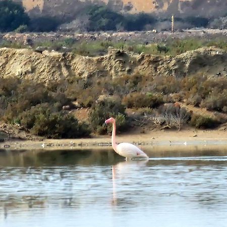 Flamingos View Apartment In Cabo De Gata El Pozo del Cabo Ngoại thất bức ảnh